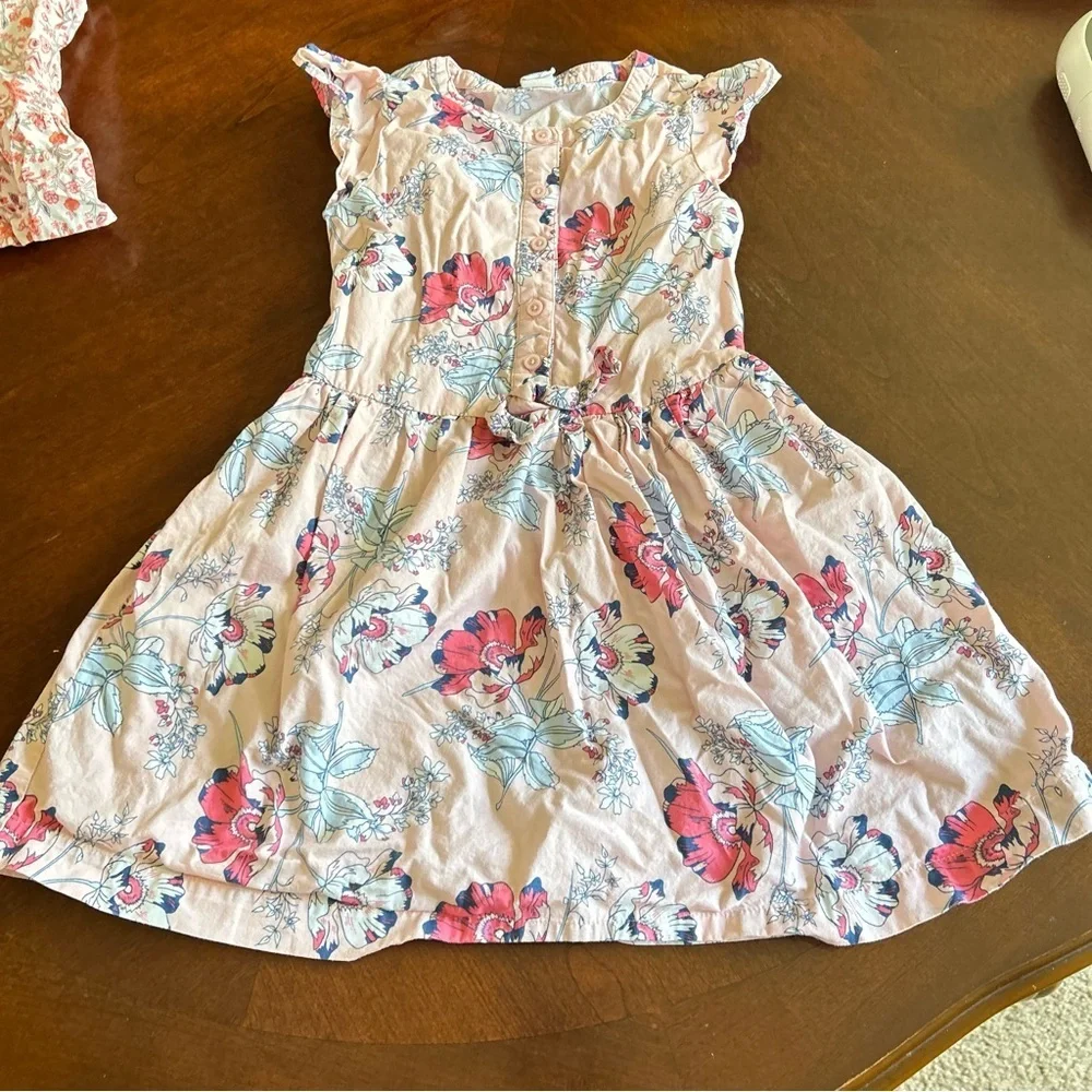 GAP | Pink Floral Dress Set